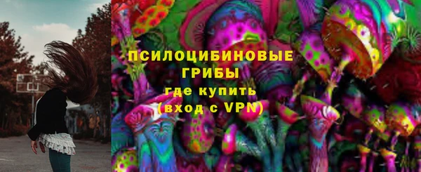 спиды Аркадак
