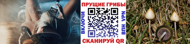 Галлюциногенные грибы MAGIC MUSHROOMS  Рыбинск 